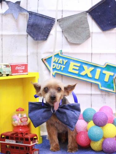 20230414小太郎くん